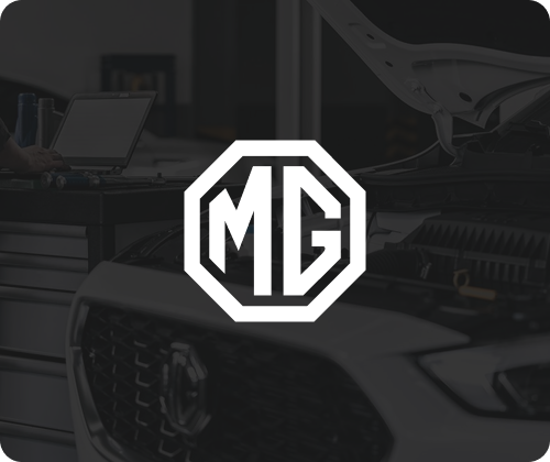 Sitio en Actualización